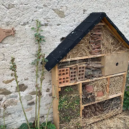 Casa vacanze La Motte *