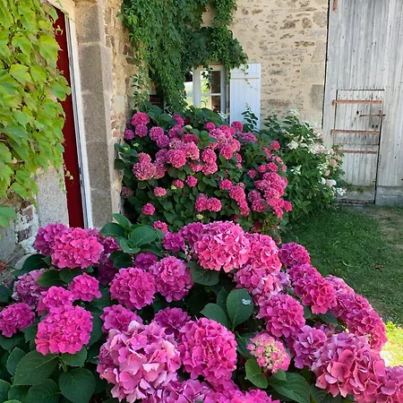 Casa vacanze La Motte